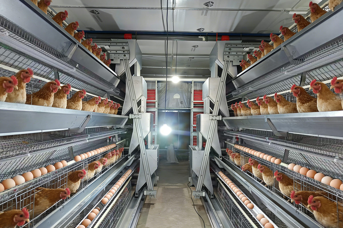 1772164051933498.jpg caseyinniA.jpg