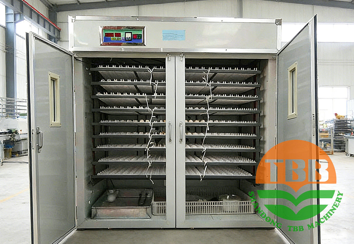 1773041527228749.jpg Full-Automatic-Incubator1.jpg
