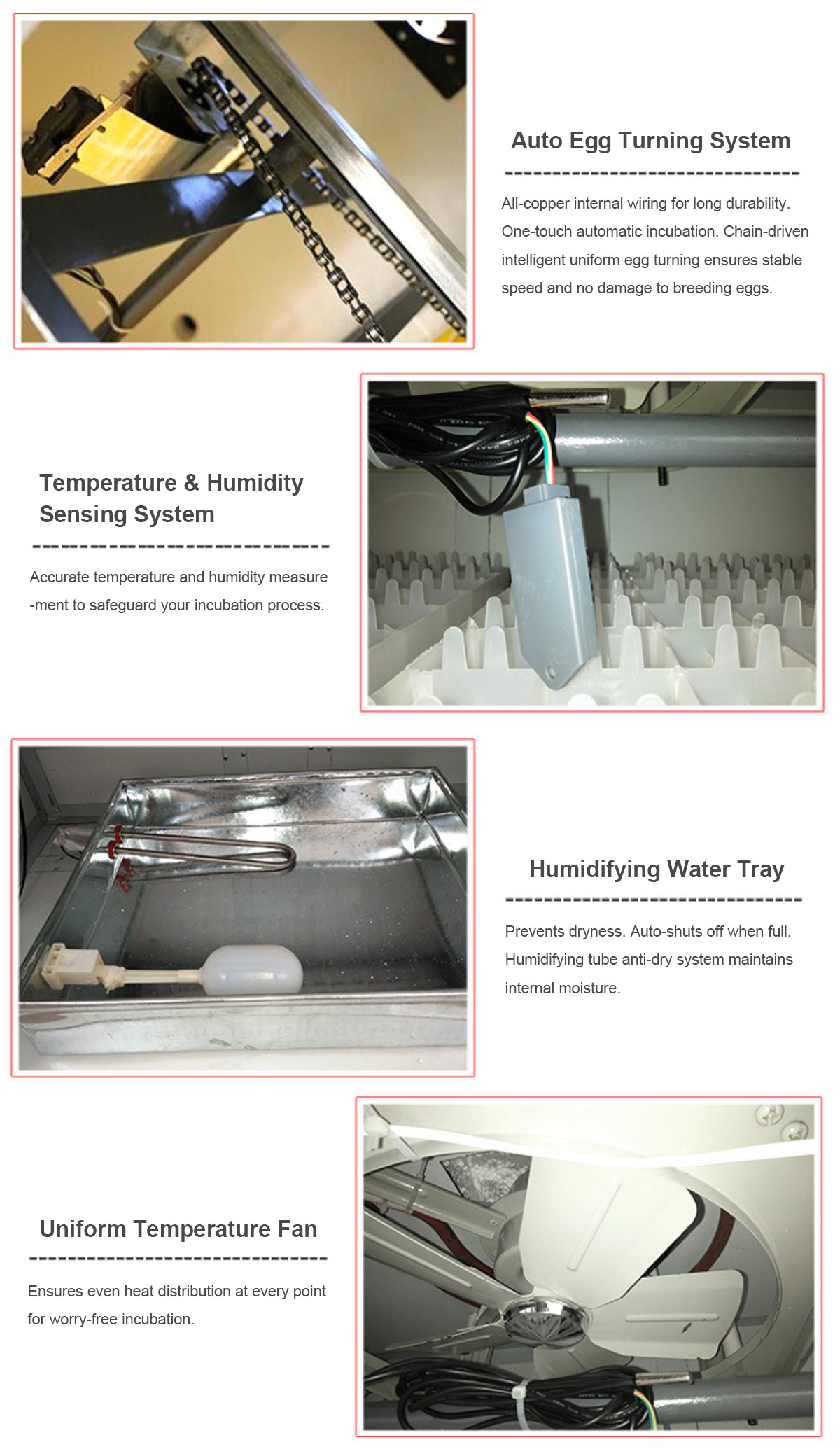 1773045528968018.jpg incubator1.jpg