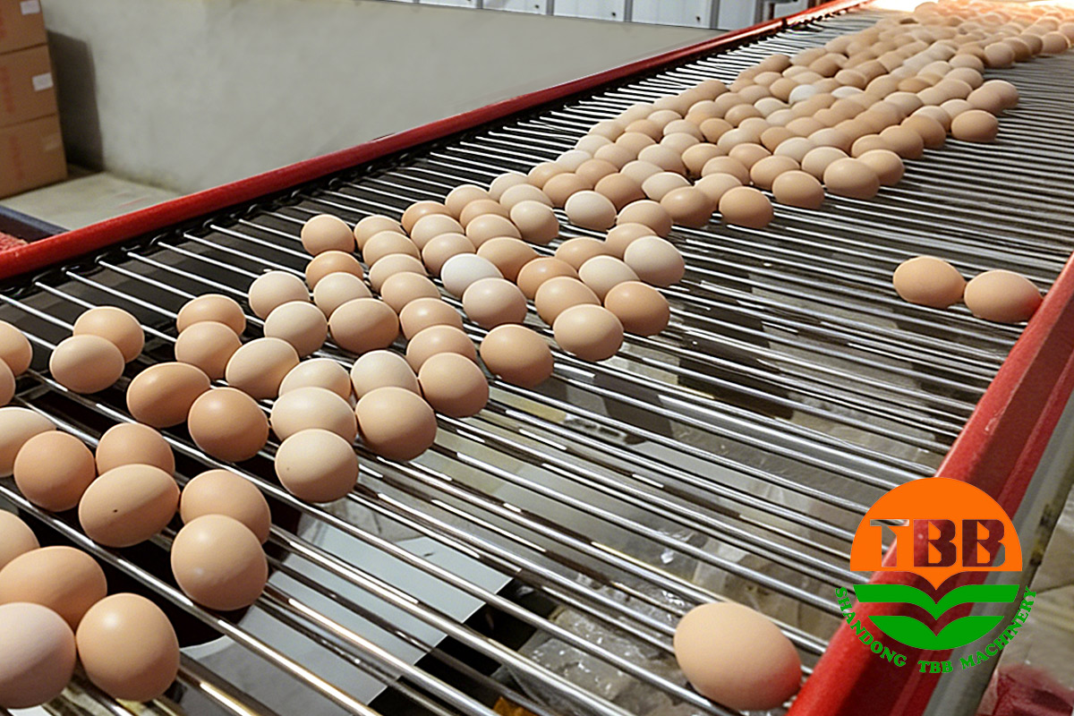 1774334467774574.jpg 3..jpg