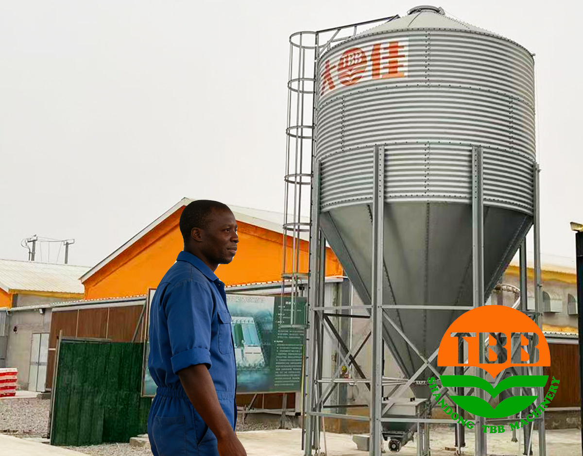 1775117340336025.jpg 3.jpg